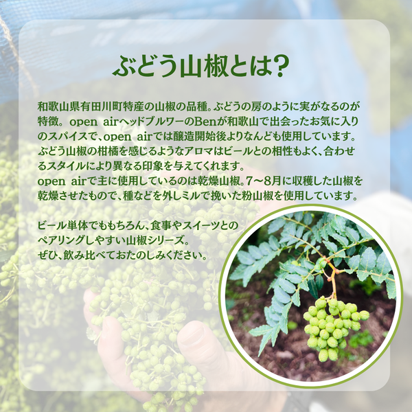 open air Sanshoアソートセット6